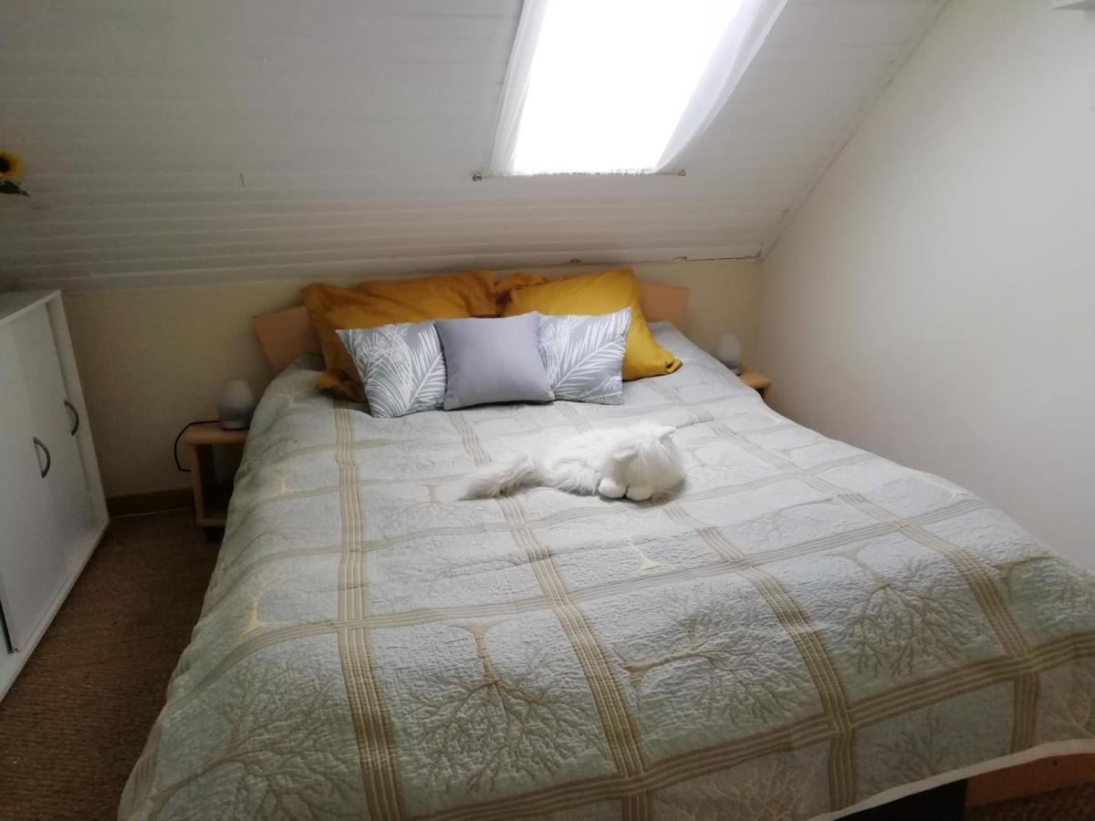 Maison Piscine Privee Proche De Rodez Cassagnes-Bégonhès Екстериор снимка